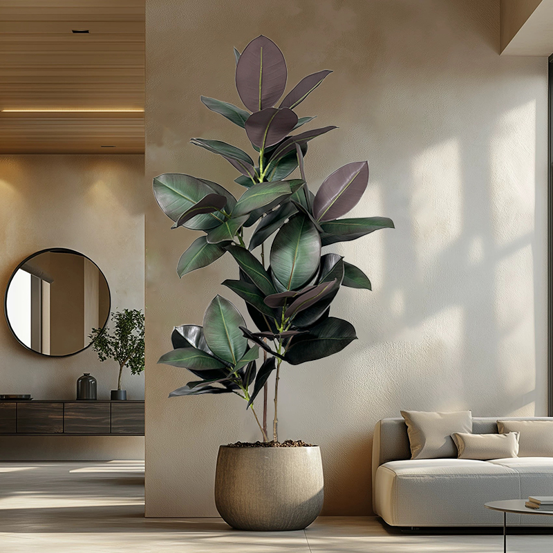 ต้นไทรประดิษฐ์ขนาด 70-150 ซม.  - Rubber Plant Ficus บทวิจารณ์และราคา
