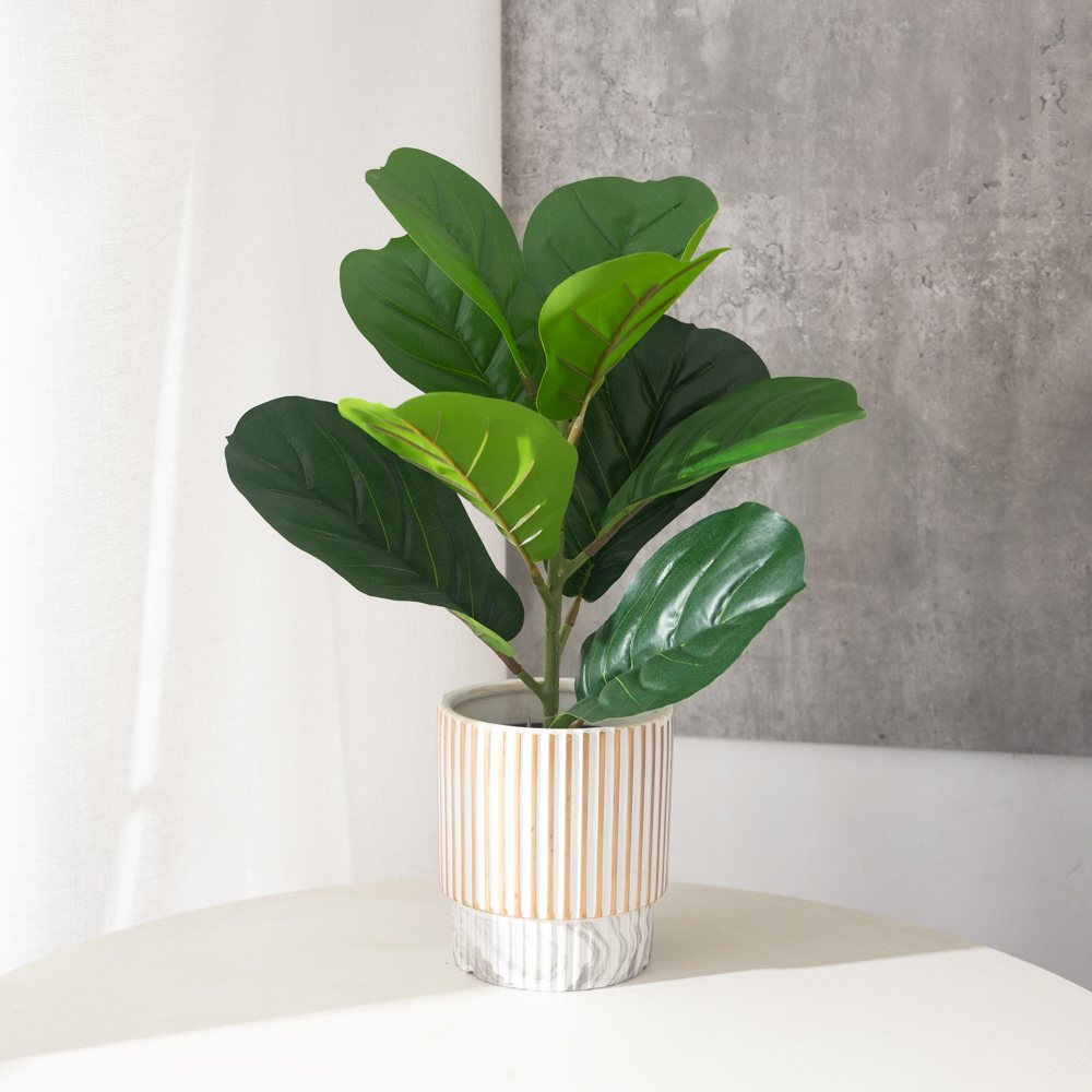 38 ซม.9 ส้อมประดิษฐ์ Ficus พืช - Rubber Plant Ficus บทวิจารณ์และราคา