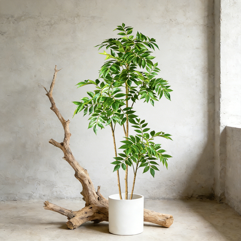 ต้นยางพาราเทียมขนาด 76-140 ซม. - Rubber Plant Ficus บทวิจารณ์และราคา