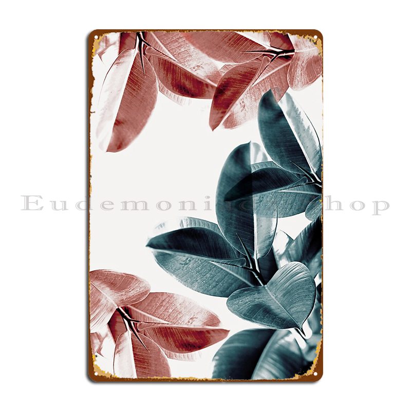 ยางพืชใบสีเขียวและสีชมพูใบ Tro - Rubber Plant Ficus บทวิจารณ์และราคา