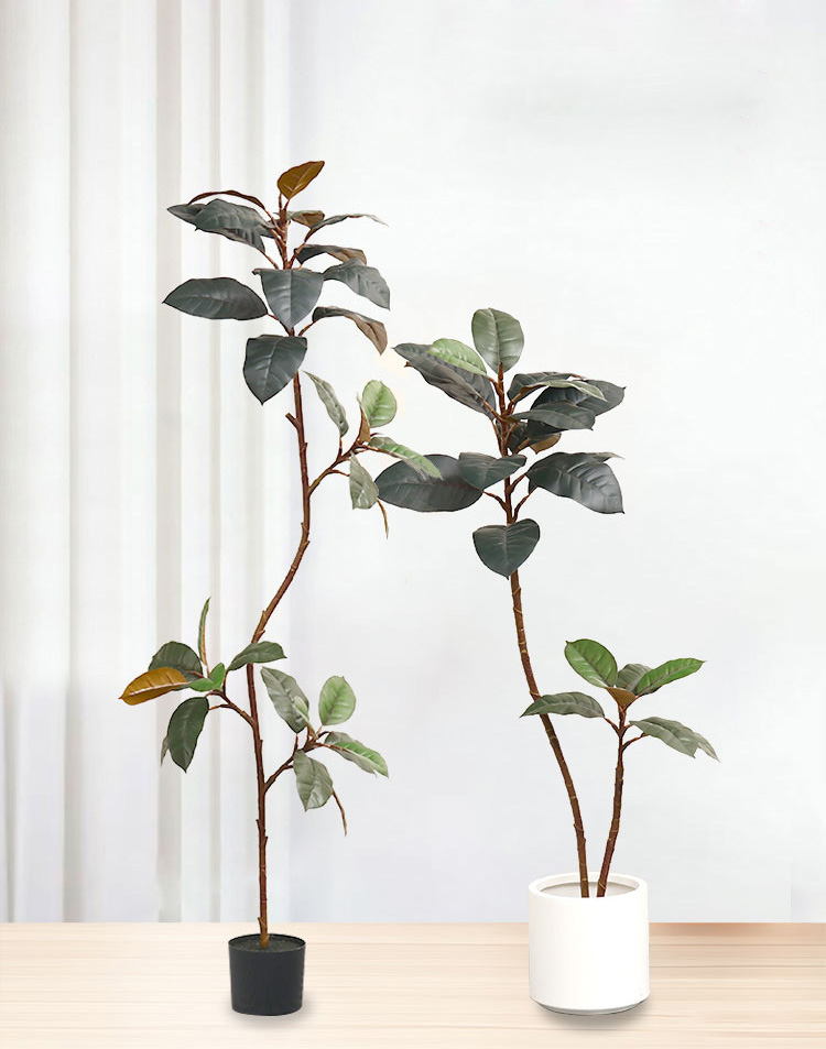 ต้นยางปลอมในกระถางพลาสติก ต้นไ - Rubber Plant Ficus บทวิจารณ์และราคา
