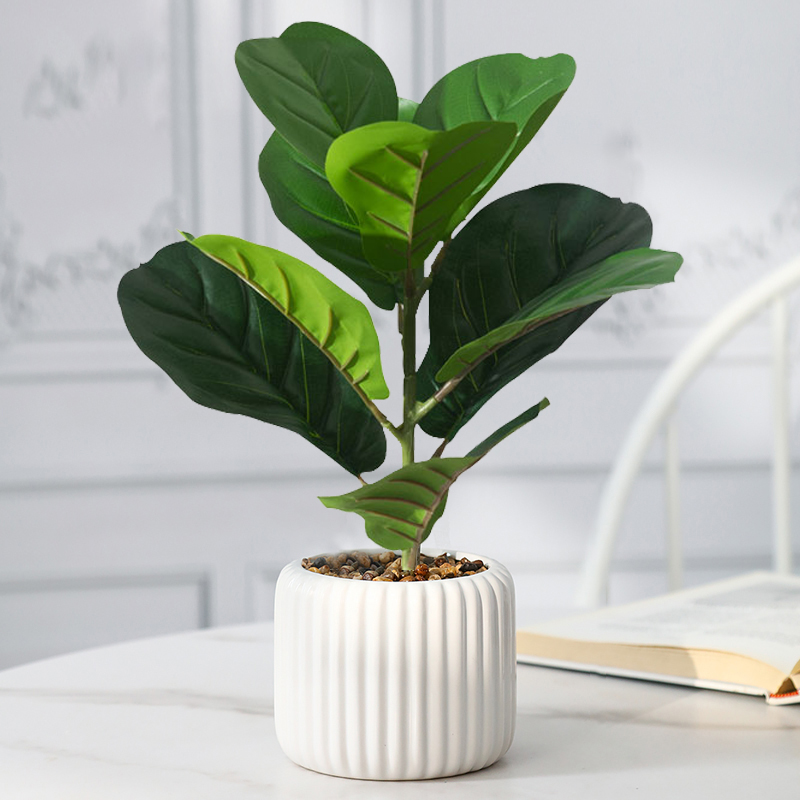 38 ซม.Ficus Tree ประดิษฐ์ Fidd - Rubber Plant Ficus บทวิจารณ์และราคา